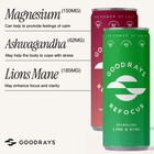 Refocus Lime & Kiwi with Magnesium, Lion's Mane, Ashwagandha and Vitamin D 12 Cans / Buy Now